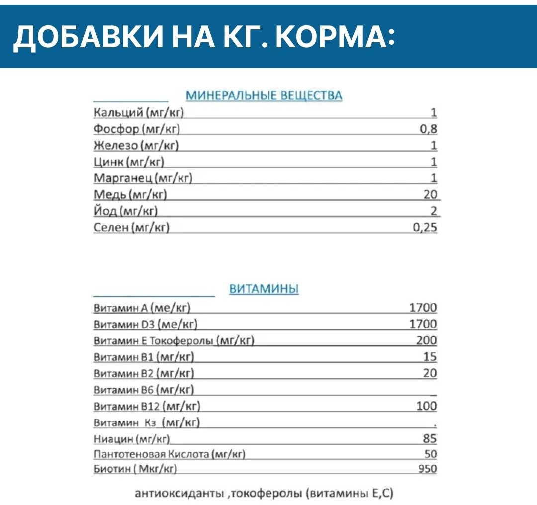 Корм YUMMI Premium Quality Говядина для взрослых сторожевых 20 кг &#43; YUMMI Premium Quality Baby &amp; Junior Мясное изобилие для щенков сторожевых 14 кг купить,0