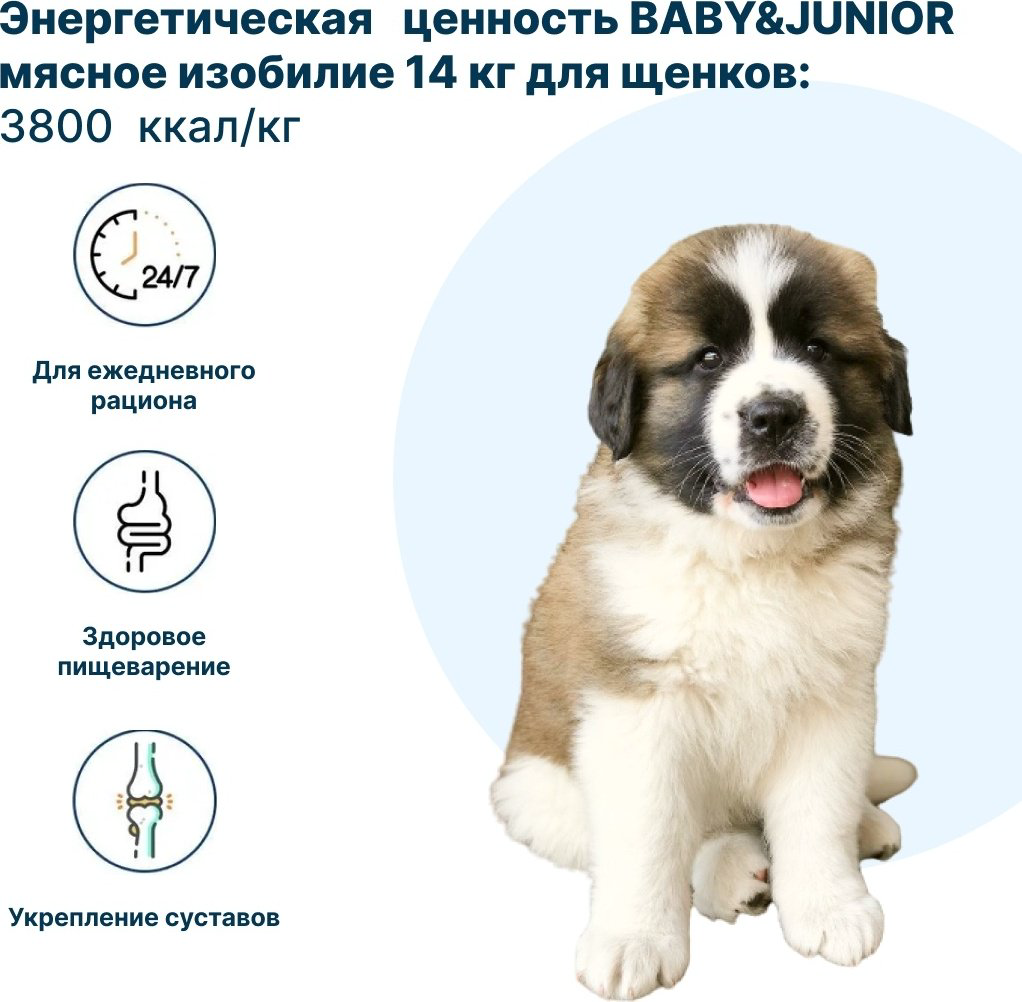 Корм YUMMI Premium Quality Мясное ассорти для взрослых сторожевых 20 кг + YUMMI Premium Quality Baby &amp; Junior Мясное изобилие для щенков сторожевых 14 кг купить,NaN