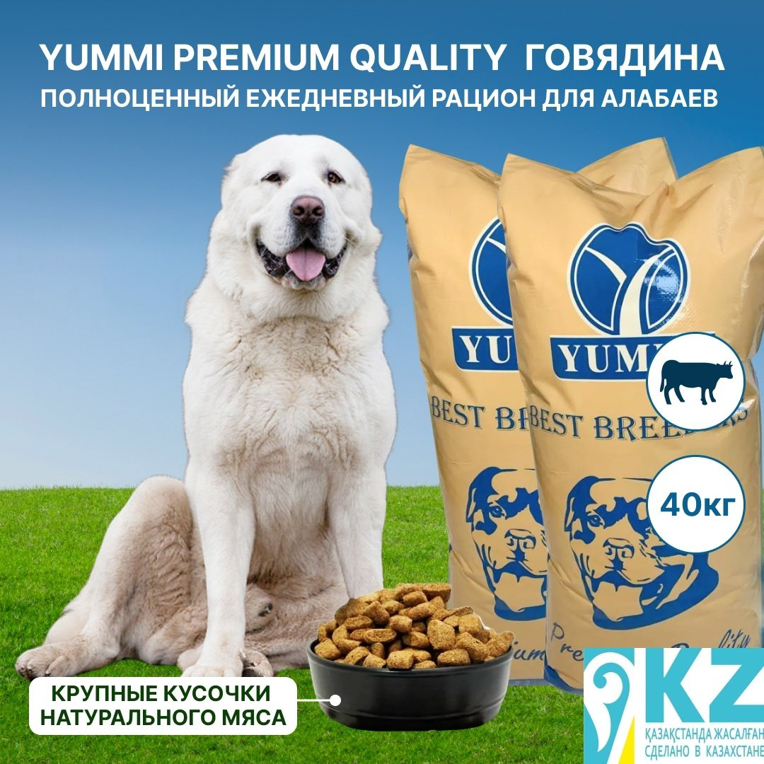 Корм YUMMI Premium Quality Говядина для алабаев 40 кг купить,NaN