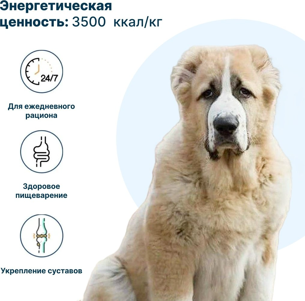 Корм YUMMI Premium Quality Говядина для алабаев 40 кг купить,NaN