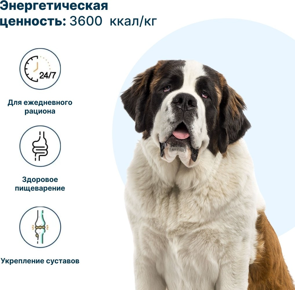Корм YUMMI Premium Quality Мясное ассорти для сторожевых 20 кг 5 шт купить,NaN