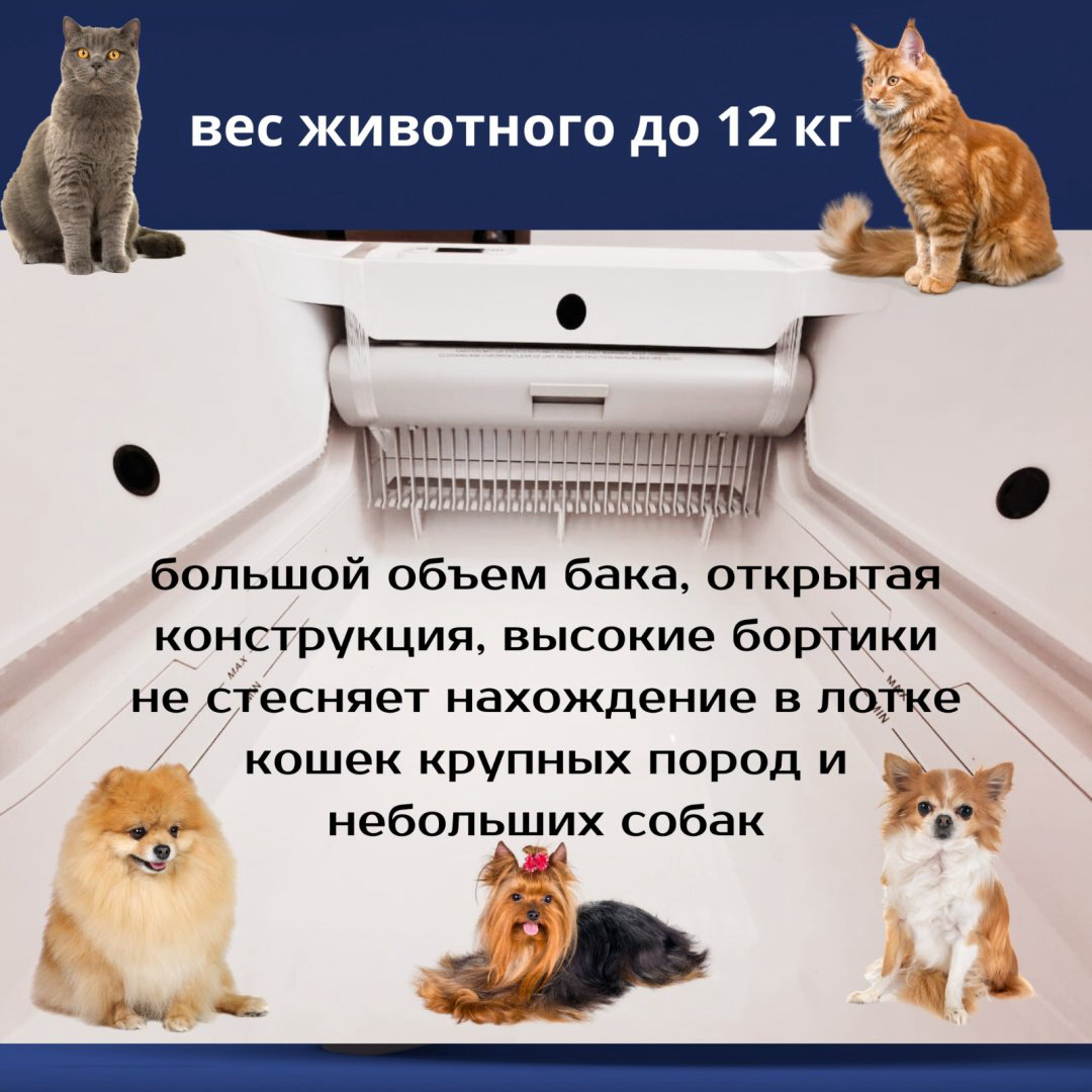 Туалет-лоток автоматический белый купить,NaN