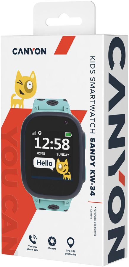 Смарт-часы Canyon CNE-KW34BL Blue купить,NaN