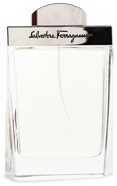 Туалетная вода Salvatore Ferragamo 100 мл купить,22790