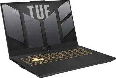 Ноутбук Asus TUF Gaming F17 FX707VJ-HX006 90NR0MY5-M00060 17.3" Mecha Gray купить,NaN