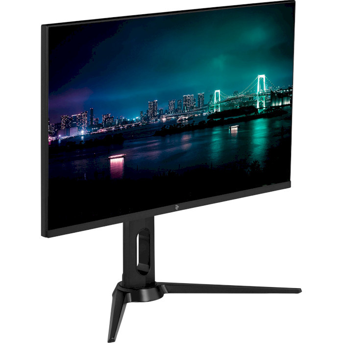 Монитор 2E H2420B 2E-H2420B-01.UA 23.8" черный купить,0