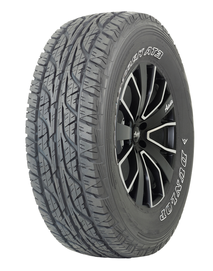 Шина Dunlop Grandtrek  PT30 225/65 R17 102H летняя купить,53300
