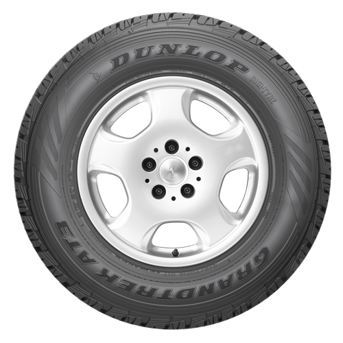 Шина Dunlop Grandtrek  PT30 225/65 R17 102H летняя купить,53300