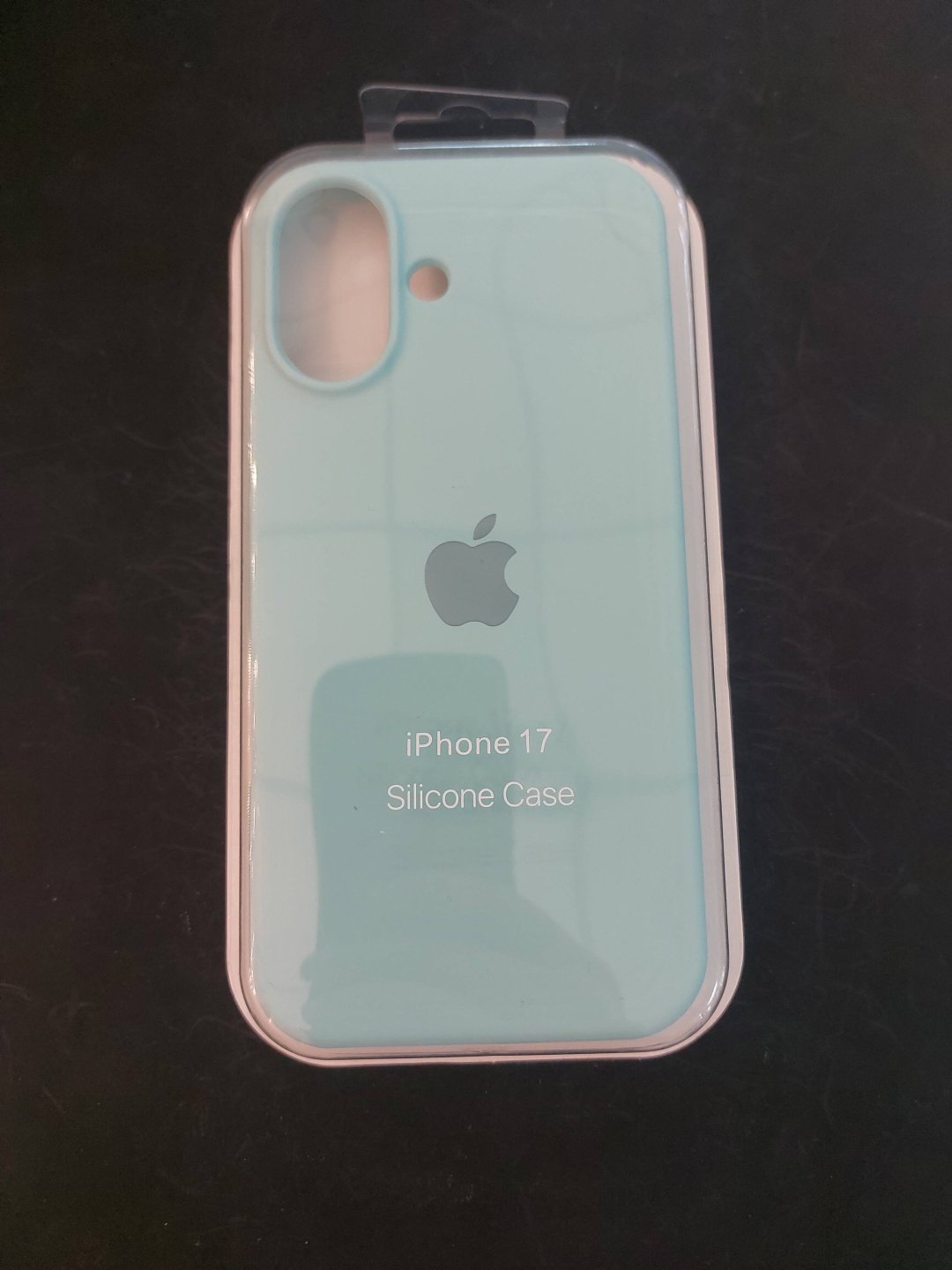Чехол Silicon Power для Apple iPhone 17 бирюзовый купить,1270