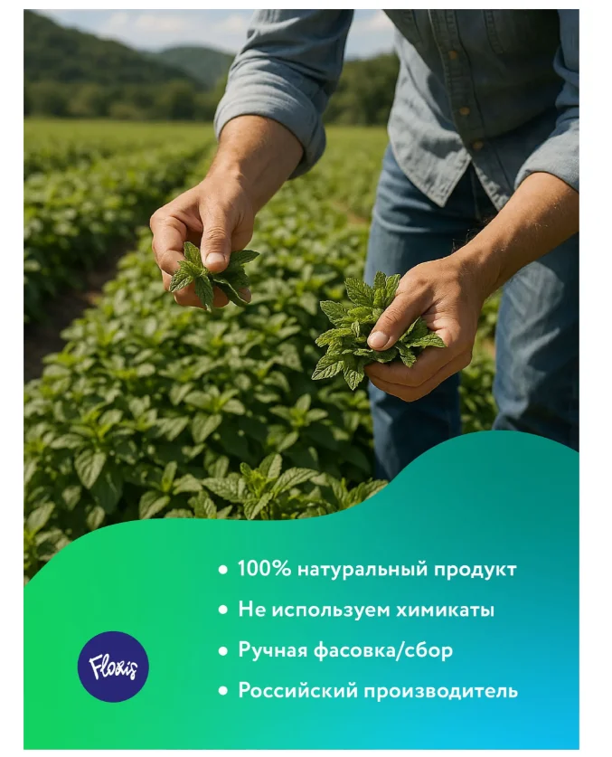 Чай травяной Floris бессмертник 18гр купить,NaN