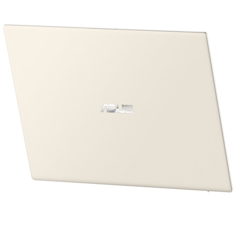 Ноутбук Asus VivoBook S330UN 90NB0JD2-M00740 Gold