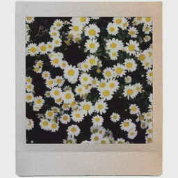 Пленка Fujfilm Instax Square Sunset 10 шт.
