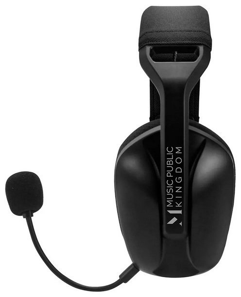 Наушники MUSIC PUBLIC KINGDOM HS100W черный купить,NaN