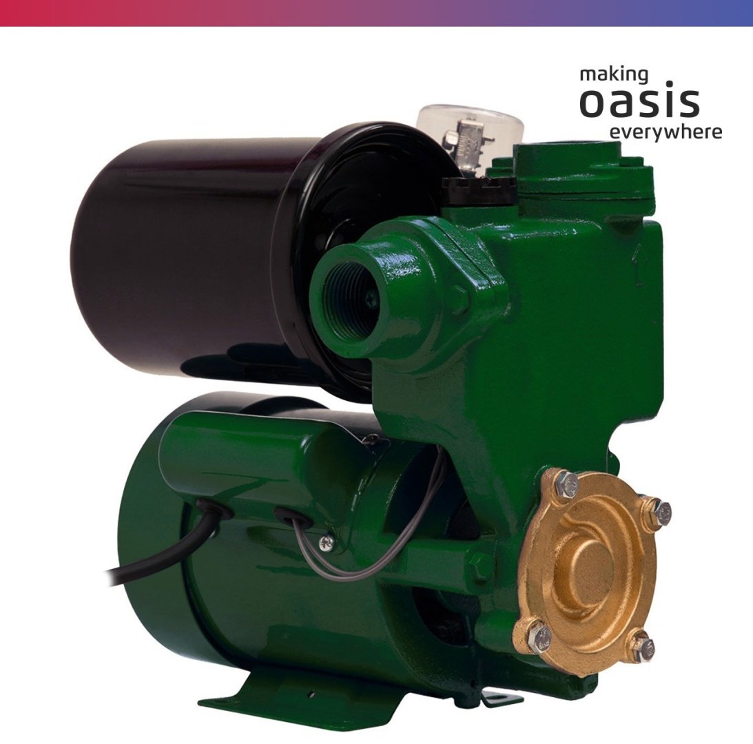 Насос поверхностный насосная станция Oasis MS 33/31 C-2
