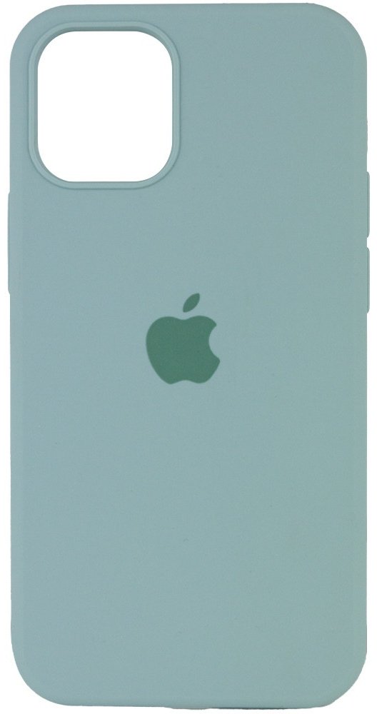 Чехол для Apple iPhone 12 Pro Max мятный - ForteMarket Чехол для Apple iPhone 12 Pro Max мятный купить,550