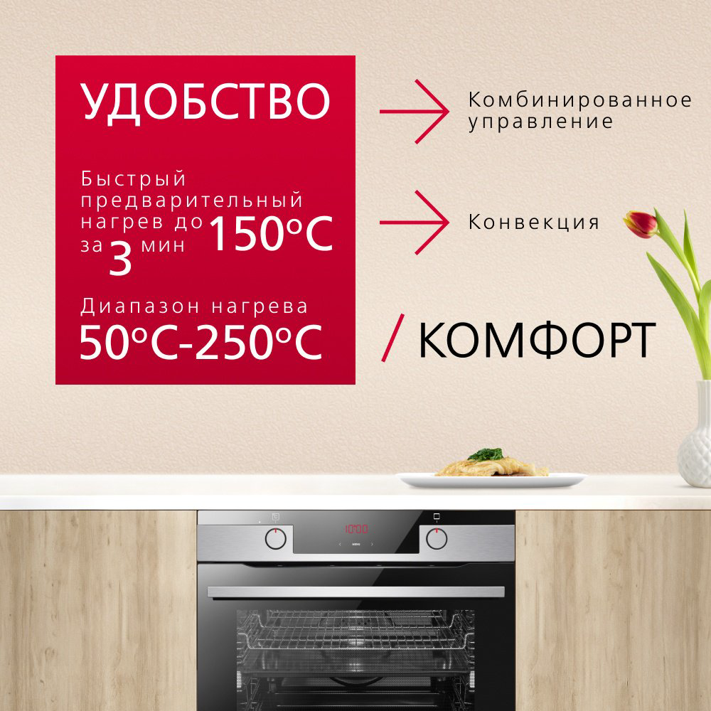 Духовой шкаф Hansa BOEI684097 черный, серебристый - ForteMarket Духовой шкаф Hansa BOEI684097 черный, серебристый купить,219990