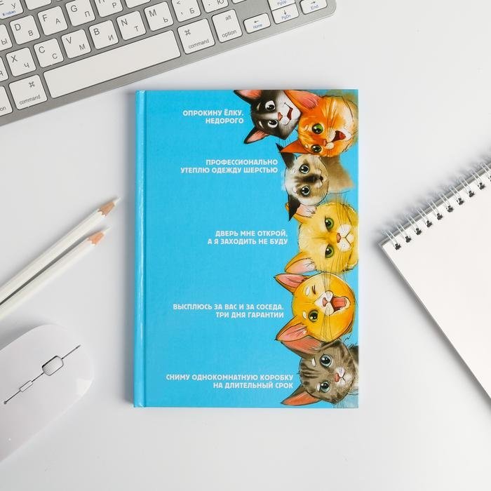 ArtFox Котики А5 купить,NaN