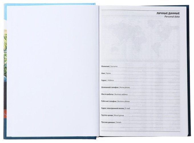 Ежедневник Calligrata Красочные моменты, A5, 160 л, мультиколор купить,NaN