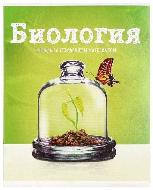 Набор предметных тетрадей Calligrata Предметы 3941413, 36 л, А5, клетка, мягкая обложка, 10 шт купить,NaN