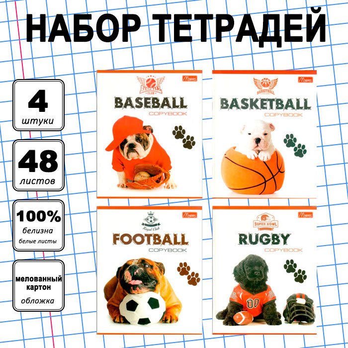 Набор общих тетрадей Magister Doggy, 48 л, А5+, клетка, мягкая обложка, 4 шт купить,NaN
