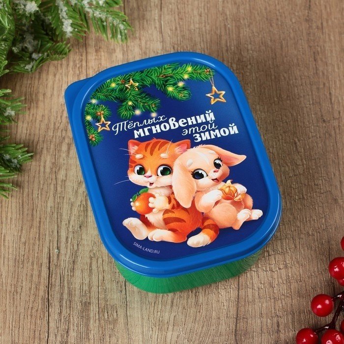 Sima-land ланч-бокс 9109669 1 шт, пластик купить,NaN