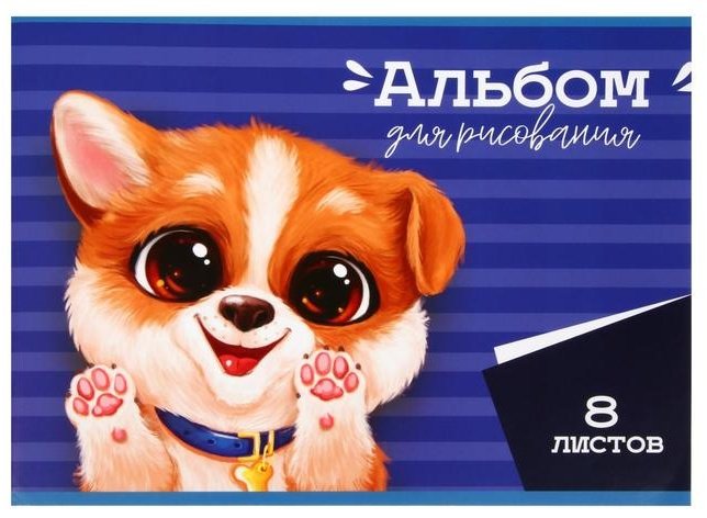 Альбом Calligrata АСБ-5666488 A4 8 листов купить,NaN