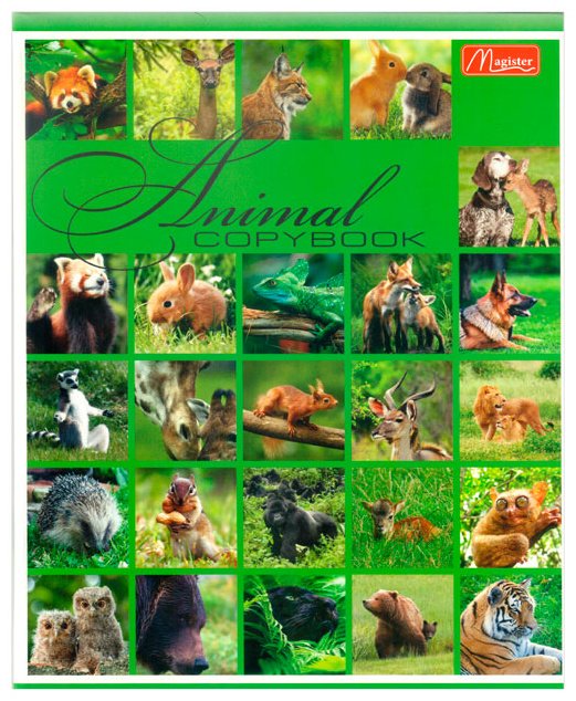 Набор общих тетрадей Magister Animals World, 36 л, А5+, клетка, мягкая обложка, 4 шт купить,NaN