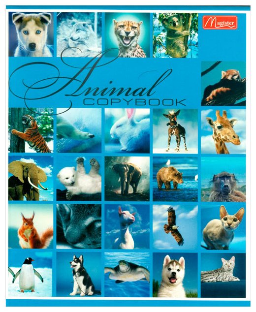 Набор общих тетрадей Magister Animals World, 36 л, А5+, клетка, мягкая обложка, 4 шт купить,NaN