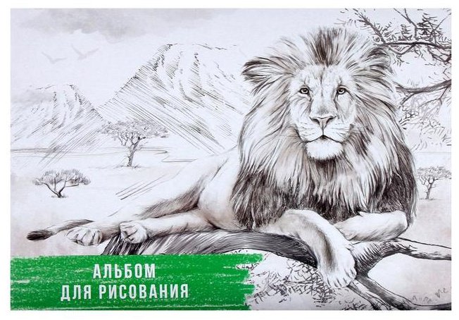 Альбом Calligrata Лев, 5666542 A4 40 листов купить,NaN