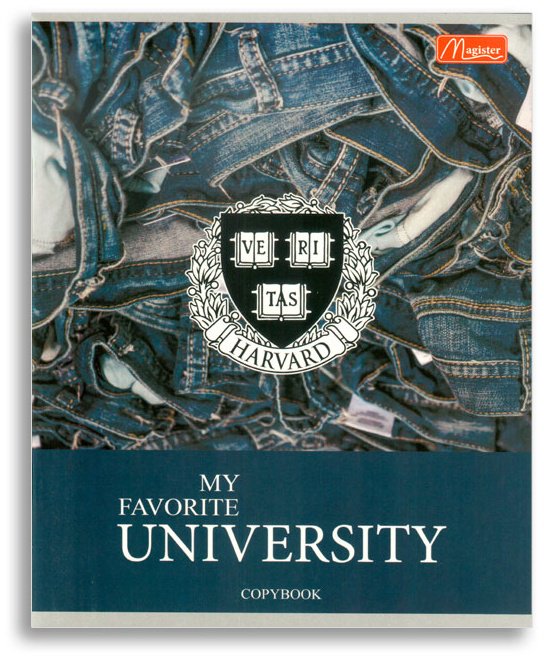 Набор общих тетрадей Magister Jeans. University, 48 л, А5+, клетка, мягкая обложка, 4 шт купить,NaN