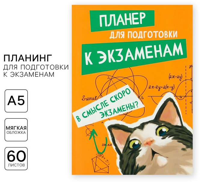 Планер ArtFox Кот, A5, 60 л, мультиколор купить,NaN