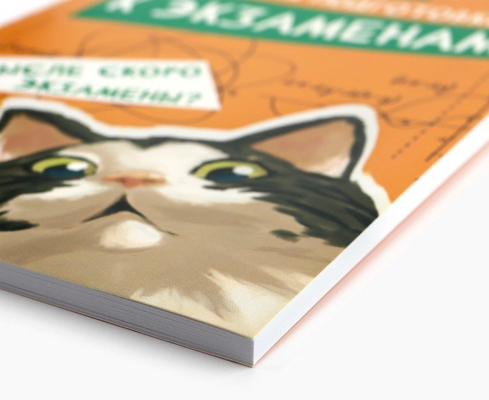 Планер ArtFox Кот, A5, 60 л, мультиколор купить,NaN