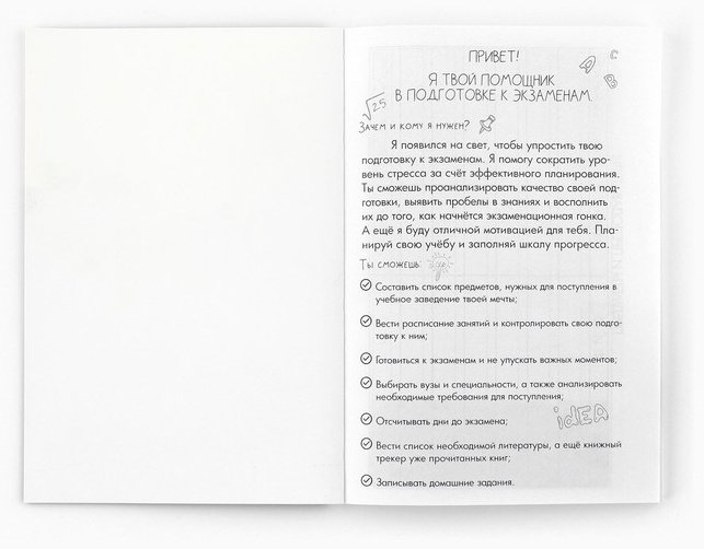 Планер ArtFox Кот, A5, 60 л, мультиколор купить,NaN