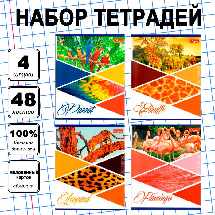 Набор общих тетрадей Magister Africa, 48 л, А5+, клетка, мягкая обложка, 4 шт купить,NaN
