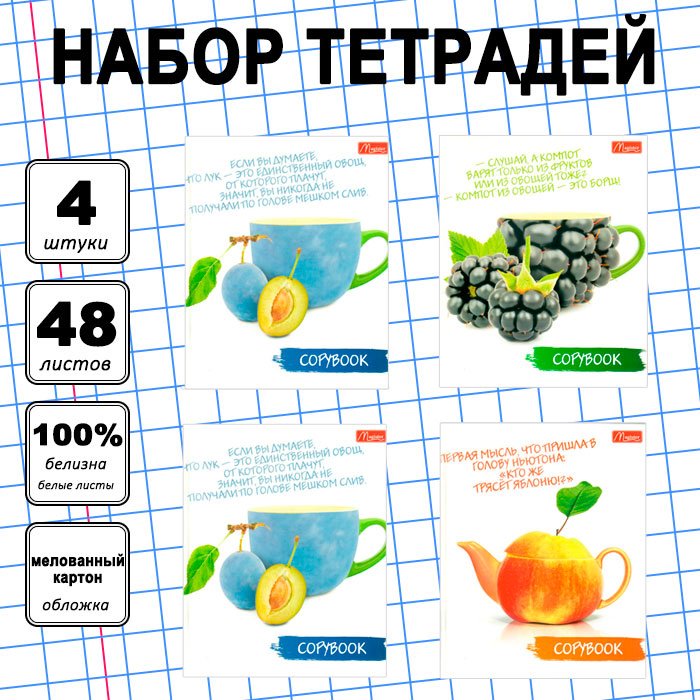 Набор общих тетрадей Magister Fruit Book, 48 л, А5+, клетка, мягкая обложка, 4 шт купить,NaN