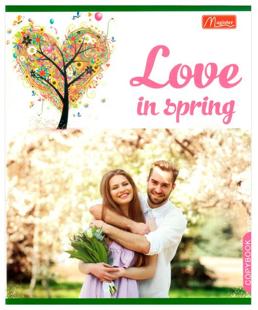 Набор общих тетрадей Magister Love Story, TO48-LS, 48 л, А5+, клетка, мягкая обложка, 4 шт купить,NaN