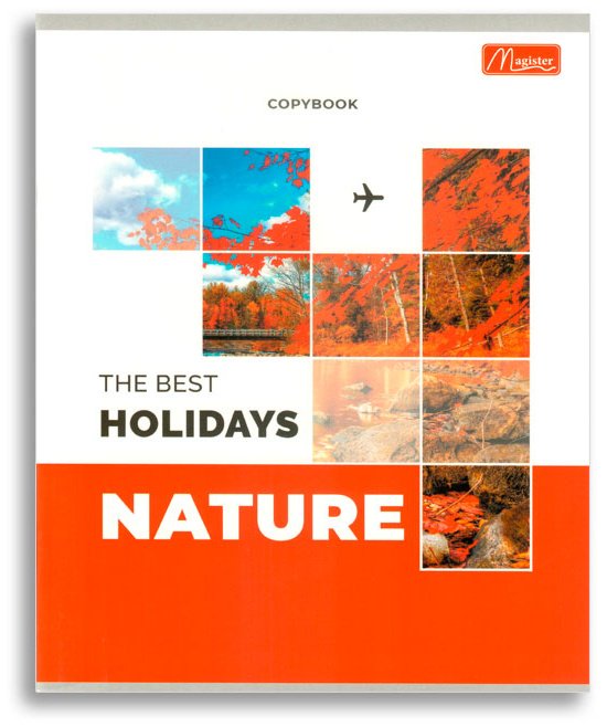 Набор общих тетрадей Magister Nature, 48 л, А5+, клетка, мягкая обложка, 4 шт купить,NaN