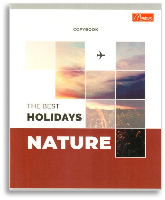 Набор общих тетрадей Magister Nature, 48 л, А5+, клетка, мягкая обложка, 4 шт купить,NaN
