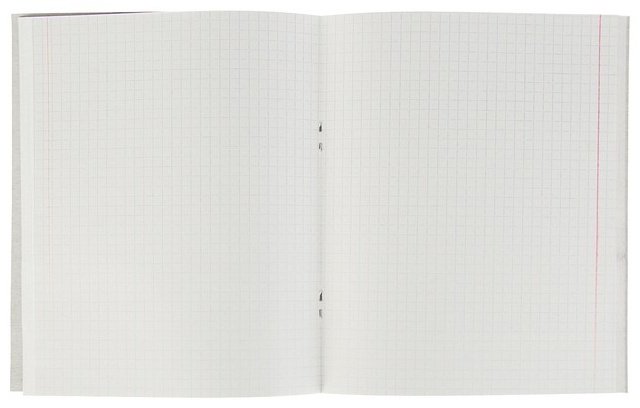 Общая тетрадь Calligrata Орнамент, 2871355, 96 л, А5+, клетка, мягкая обложка, 1 шт купить,NaN