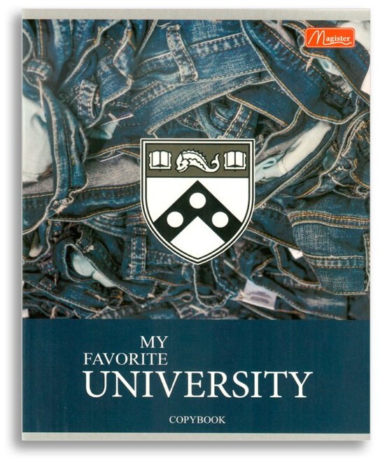 Magister Jeans TO48-JAS, 48 листов, А5, разметка клетка, мягкая обложка купить,NaN