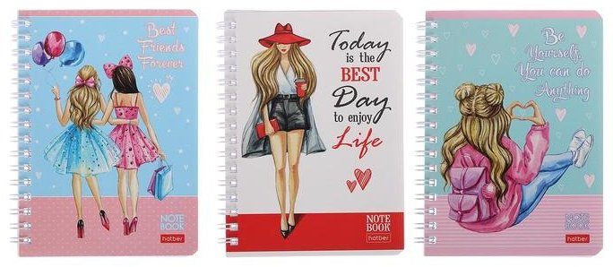 Hatber записная книжка Жизнь прекрасна!, A6, 80 листов, мультиколор купить,NaN