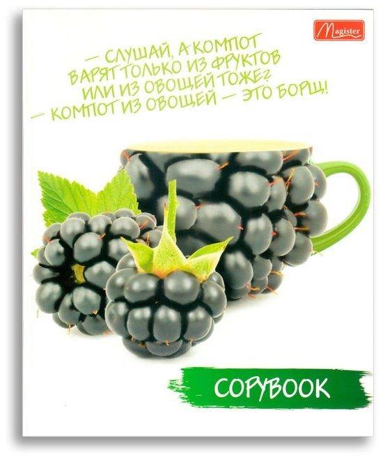 Magister Fruit Book TO48-FRB, 48 листов, А5, разметка клетка, мягкая обложка купить,NaN