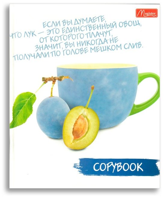 Magister Fruit Book TO48-FRB, 48 листов, А5, разметка клетка, мягкая обложка купить,NaN