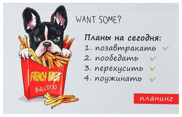Планинг Calligrata Планировали планировали да не выпланировали, A6, 50 л, мультиколор купить,NaN