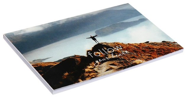 Планинг Calligrata Следуй за своим сердцем, A6, 50 л, мультиколор купить,NaN