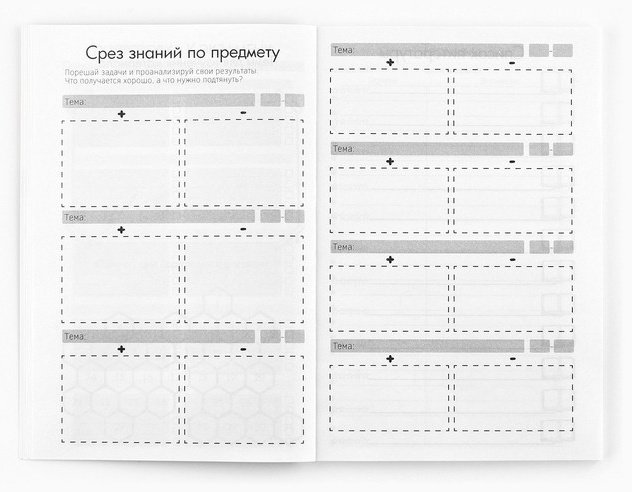 Планер ArtFox Панда, A5, 60 л, мультиколор купить,NaN