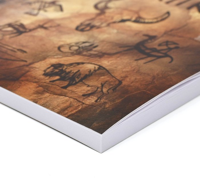 Ежедневник ArtFox Планы вожака, A5, 80 л, мультиколор купить,NaN