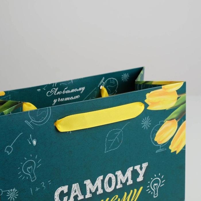 Подарочный пакет Самому Лучшему Учителю Дарите Счастье 1 шт ламинированный картон 23х27 см купить,NaN