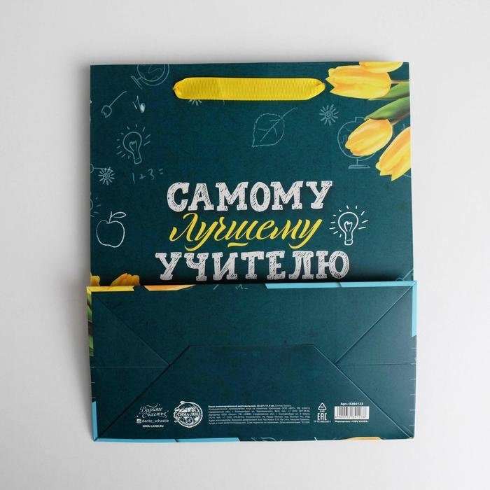 Подарочный пакет Самому Лучшему Учителю Дарите Счастье 1 шт ламинированный картон 23х27 см купить,NaN