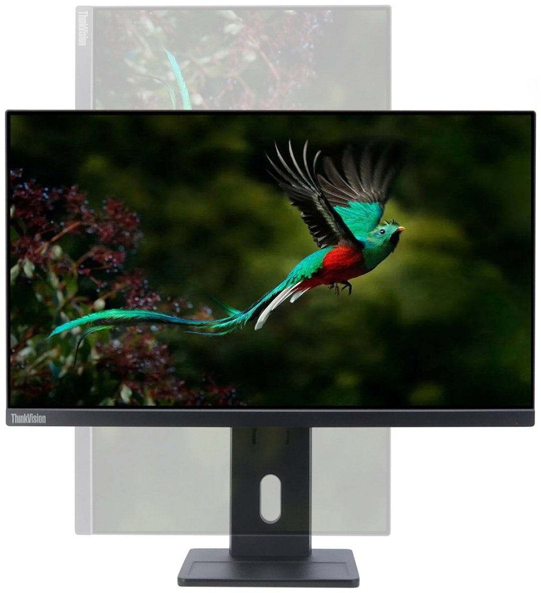 Монитор 23.8" Lenovo E24q-30 черный купить,NaN